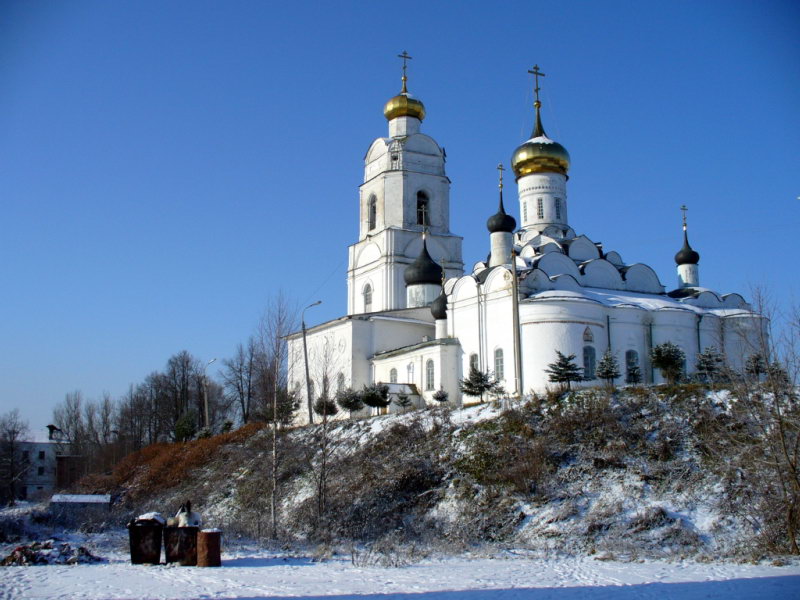 Вязьма. Троицкий собор.